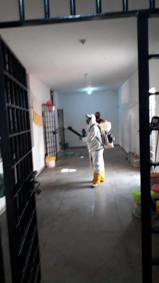 Ananás continua na luta! Ananás continua na luta!