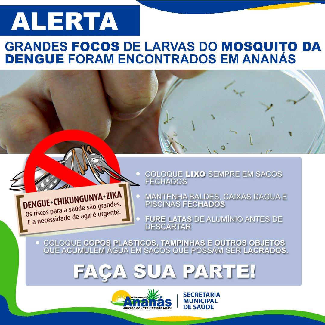 Alerta! Grandes focos de larvas do mosquito da Dengue foram encontrados em Ananás Alerta! Grandes focos de larvas do mosquito da Dengue foram encontrados em Ananás