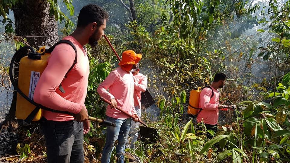 INCÊNDIO: Brigada Municipal de Combate à Incêndios controla foco de incêndio no Centro de Ananás INCÊNDIO: Brigada Municipal de Combate à Incêndios controla foco de incêndio no Centro de Ananás